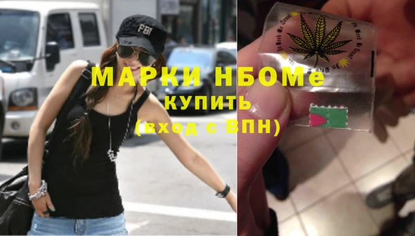 молекула духа Новозыбков
