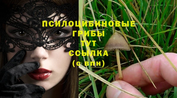 мяу мяу мука Новодвинск
