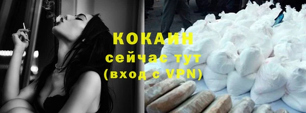 молекула духа Новозыбков