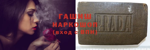 молекула духа Новозыбков