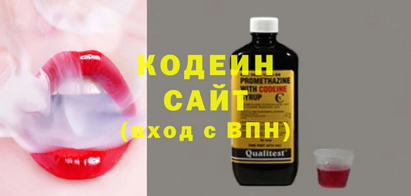 молекула духа Новозыбков