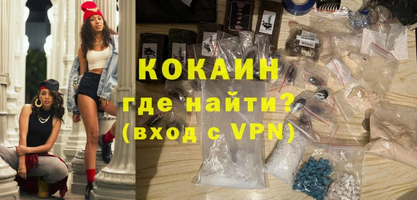 молекула духа Новозыбков