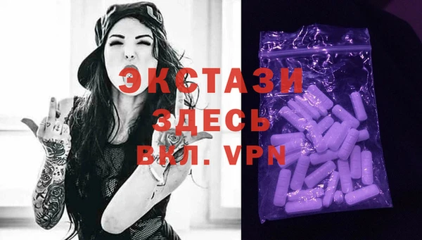 молекула духа Новозыбков