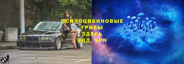 молекула духа Новозыбков